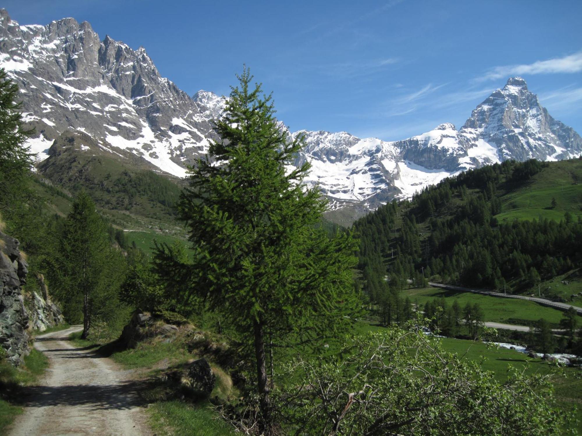 Hotel Meuble Meridiana Valtournenche Exterior photo